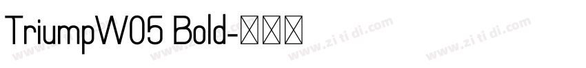 TriumpW05 Bold字体转换